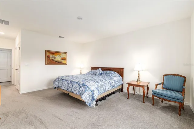 a view of a garden with a tree