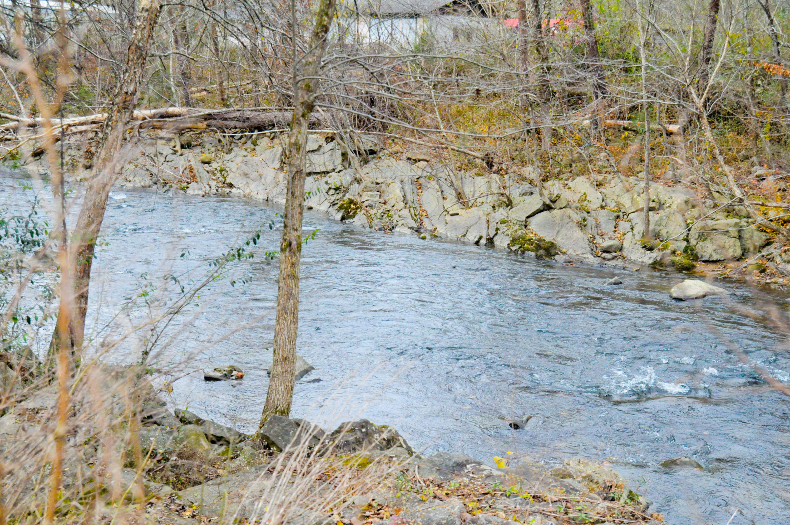 865 Back Valley Road Dayton, TN 37321 - Photo 3 of 12 20181128-DSC_0246