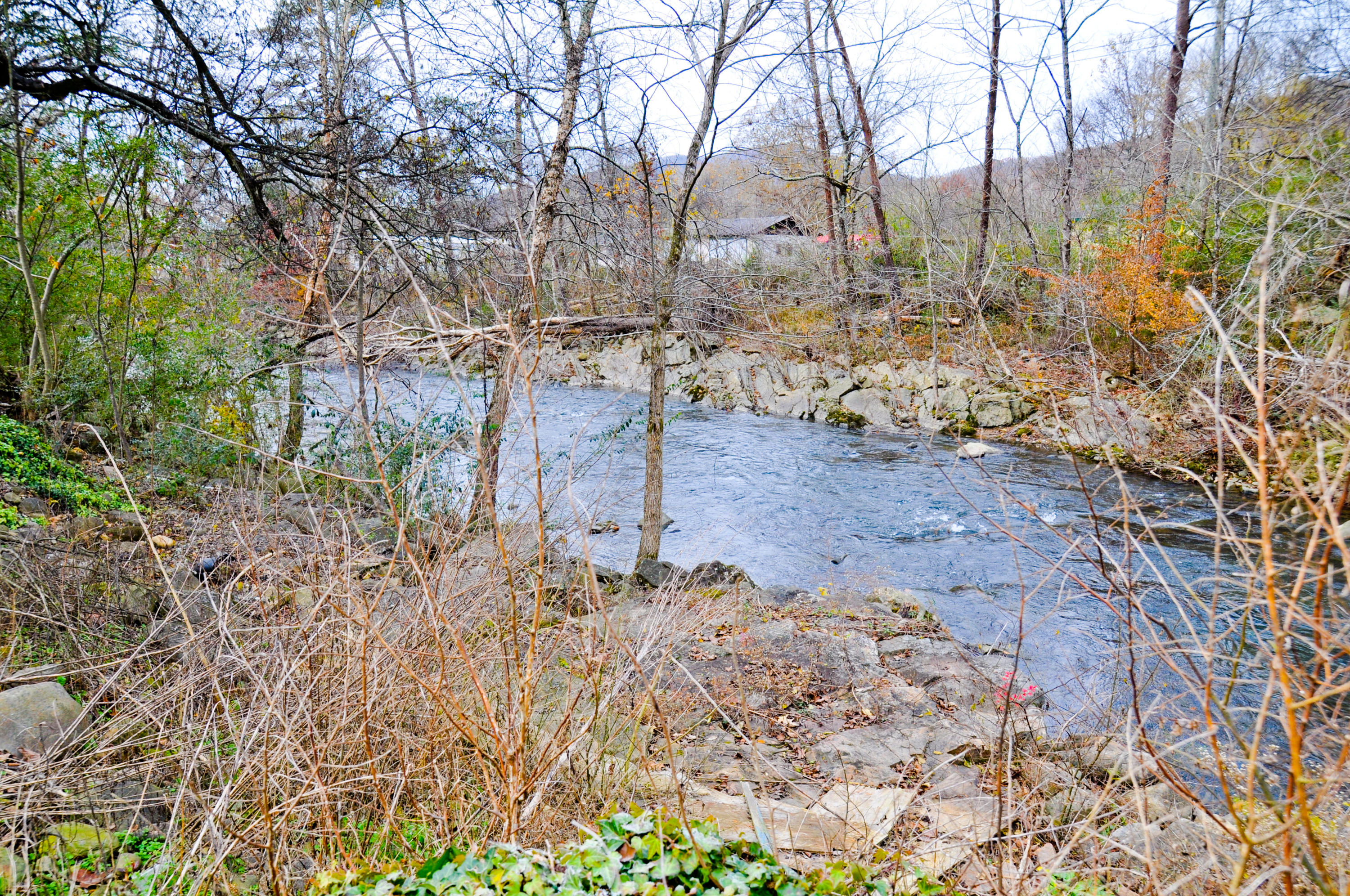 865 Back Valley Road Dayton, TN 37321 - Photo 6 of 12 20181128-DSC_0251