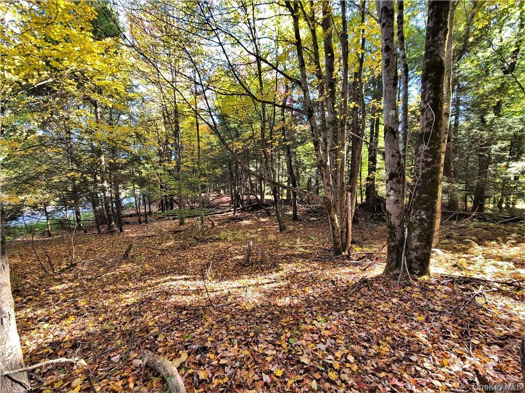 Lot 5.4 Kaufman Road Monticello, NY 12701 - Photo 43 of 45