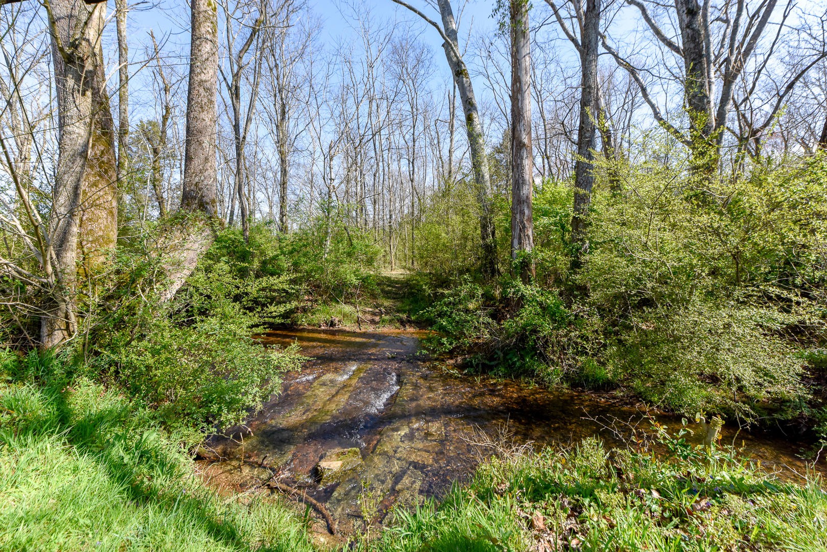 4575 Sunnyside Road Philadelphia, TN 37846 - Photo 29 of 33 a backyard of a house with lots of green space