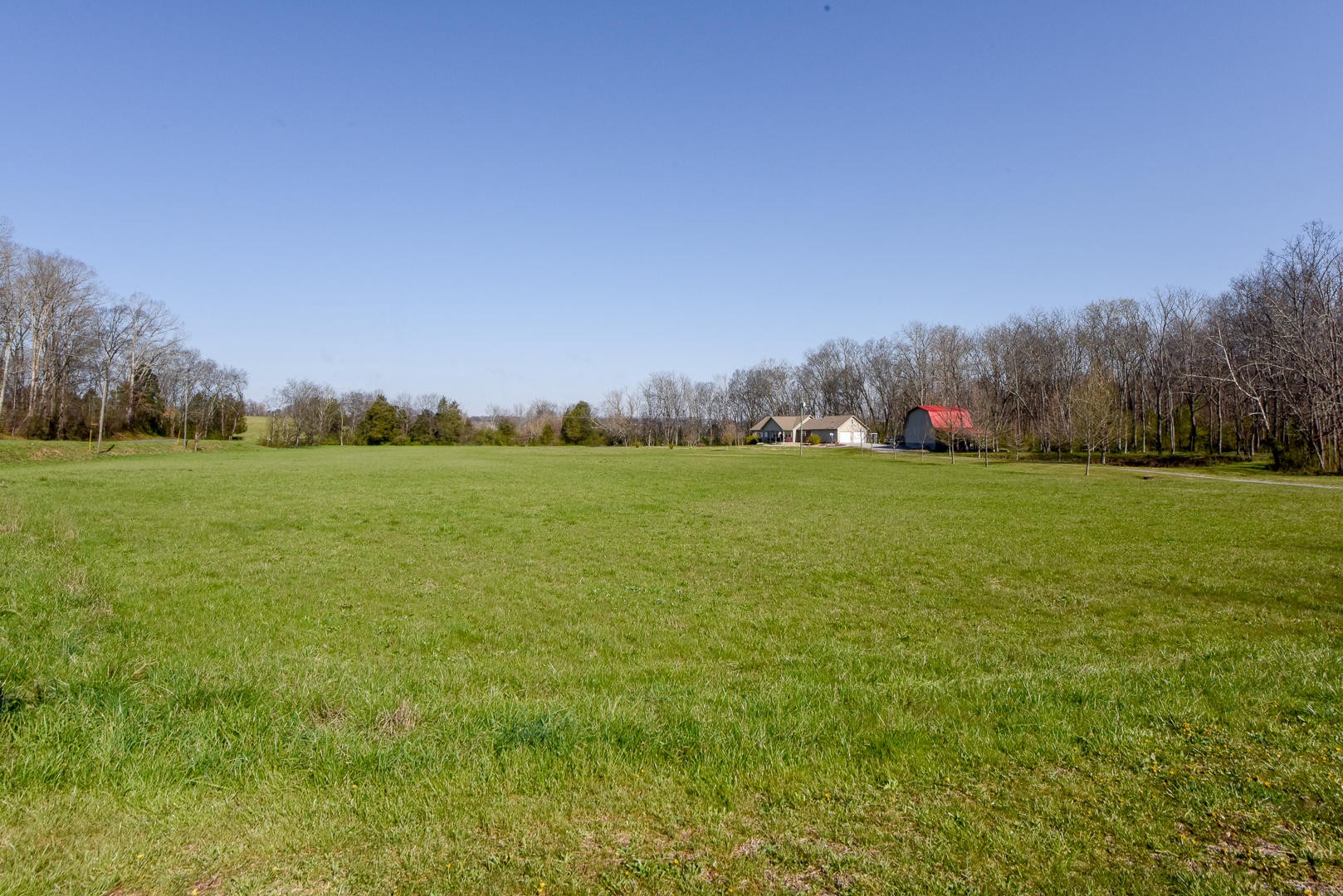 4575 Sunnyside Road Philadelphia, TN 37846 - Photo 9 of 33 a view of a green field with trees in the background