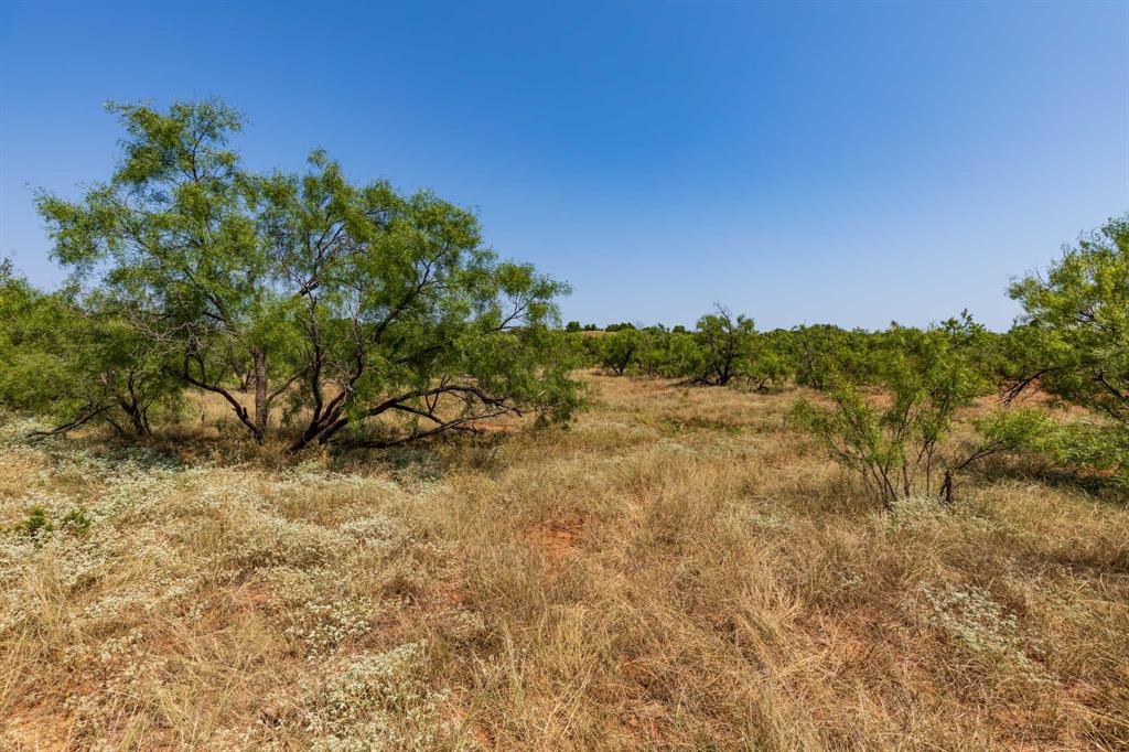 349 C R 349 Aspermont, TX 79502 - Photo 11 of 24 a view of a yard with a tree