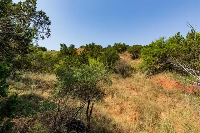 a view of a bunch of trees