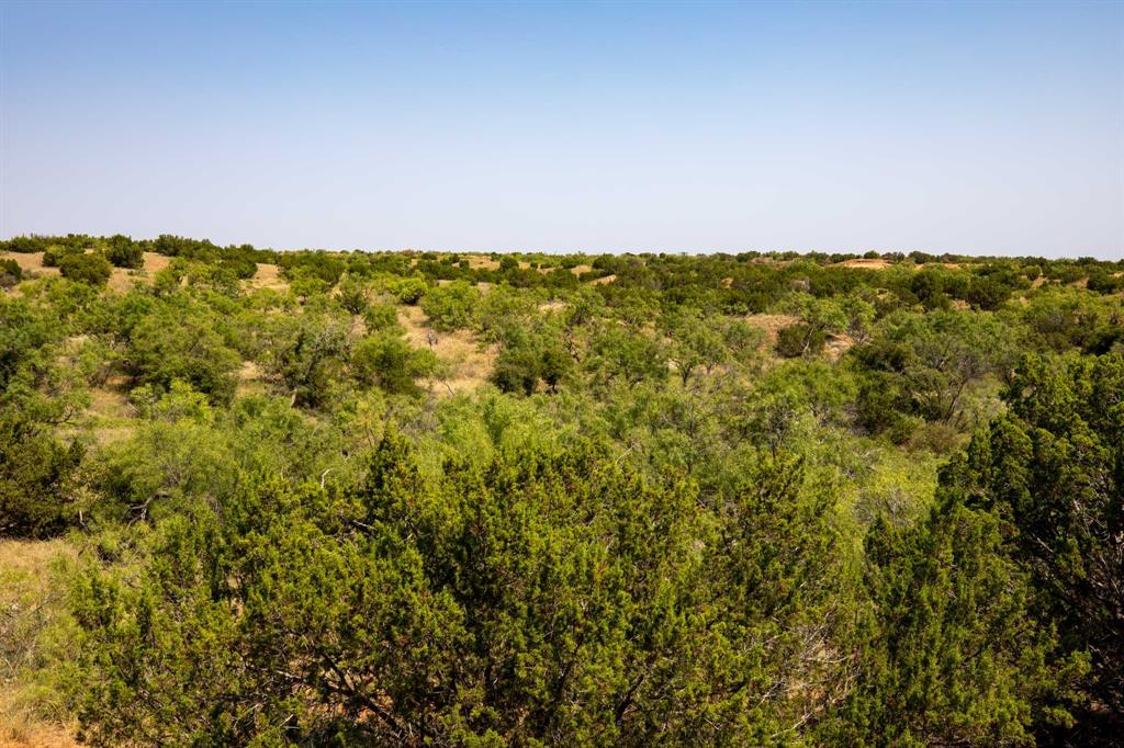 349 C R 349 Aspermont, TX 79502 - Photo 19 of 24 a view of a big yard with lots of bushes