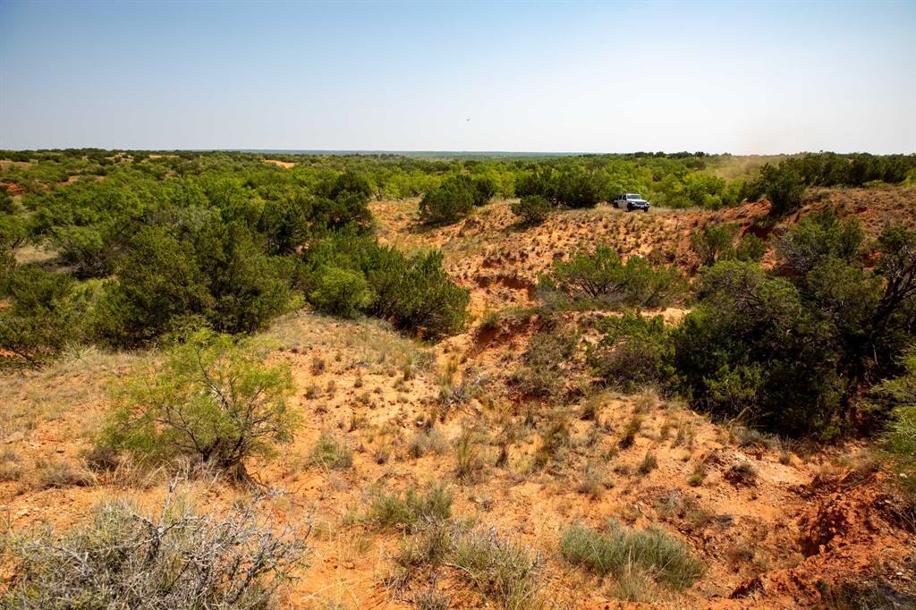 349 C R 349 Aspermont, TX 79502 - Photo 20 of 24 a view of a bunch of trees and bushes
