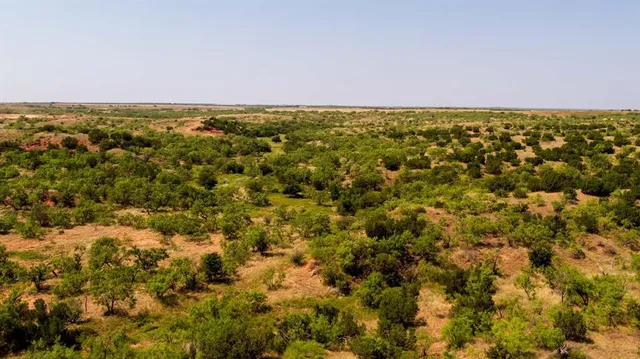 an aerial view of residential houses with city view