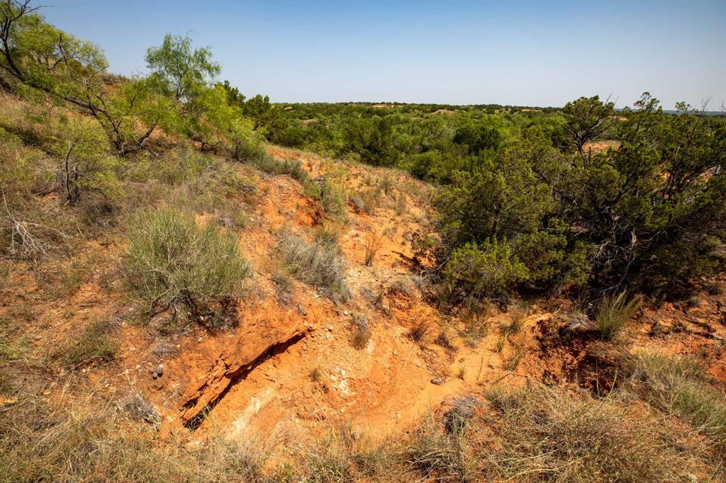 349 C R 349 Aspermont, TX 79502 - Photo 22 of 24 a view of a forest with a tree
