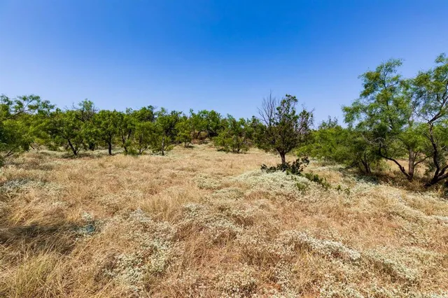 a view of a field with a tree in the background