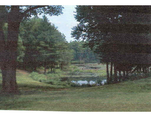 908 Ryan Road Northampton, MA 01062 - Photo 3 of 3