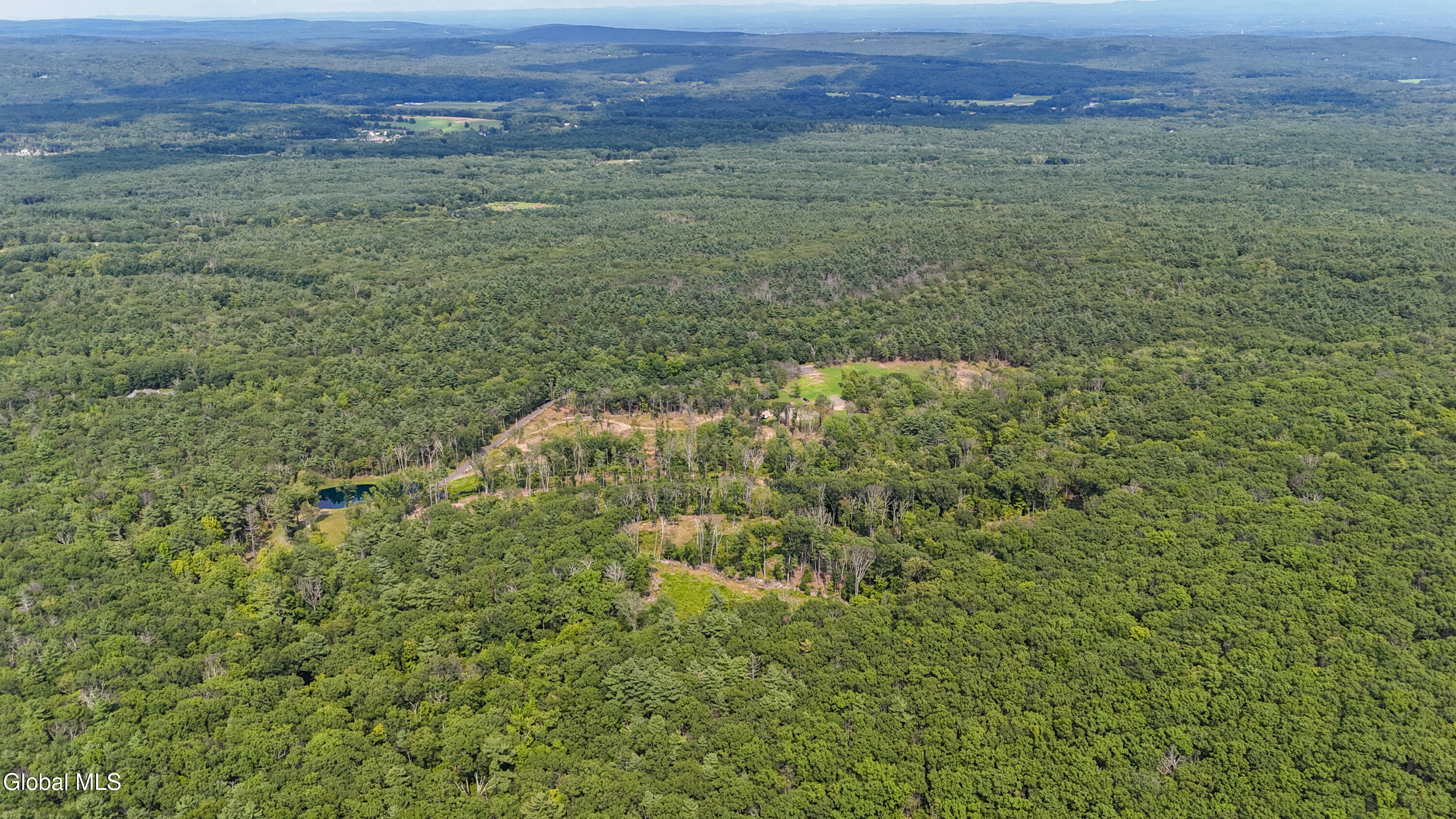 120-130 High Ridge Villa Road Cairo, NY 12470 - Photo 11 of 21 DJI_20260812145955_0016_D