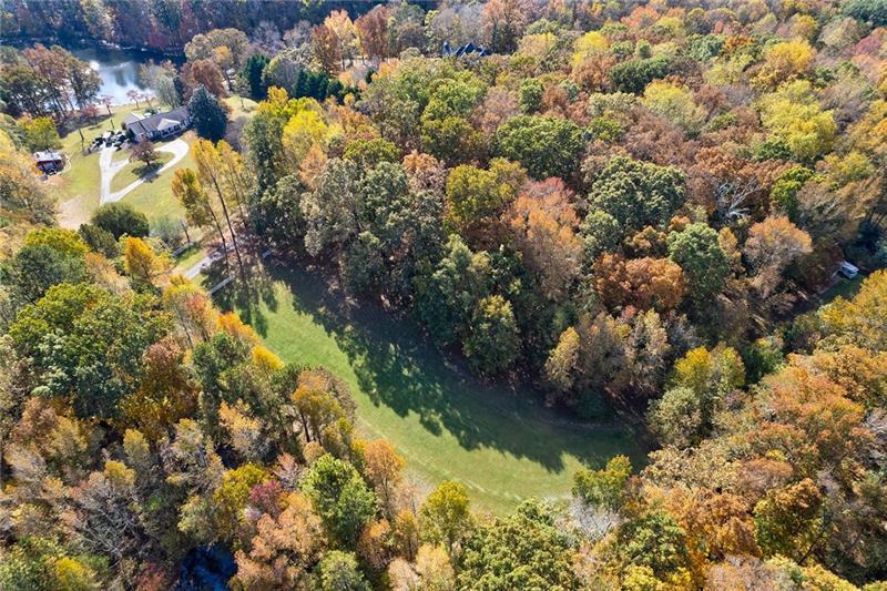 1801 Birmingham Road Milton, GA 30004 - Photo 7 of 102 a view of a tree with a yard