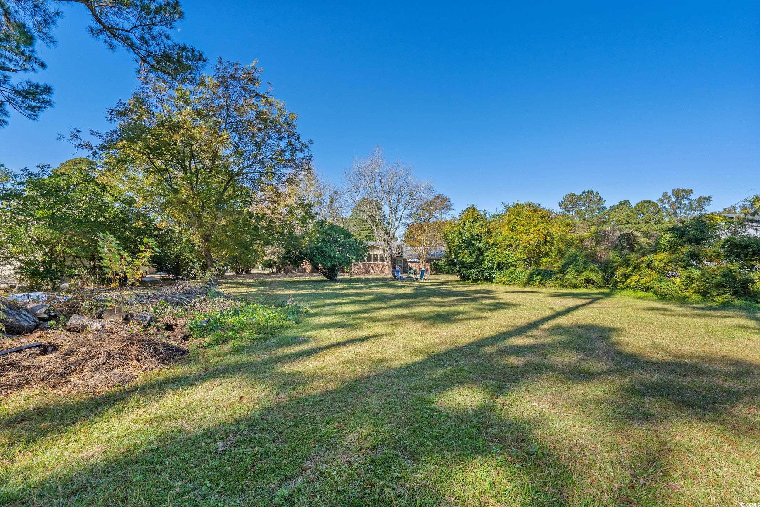 1063 Burcale Road Myrtle Beach, SC 29579 - Photo 5 of 36 View of grassy yard featuring view of scattered trees
