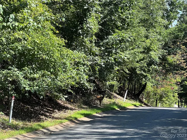 $60,000 | 214 Mays Mills Drive, Cramerton, NC 28032