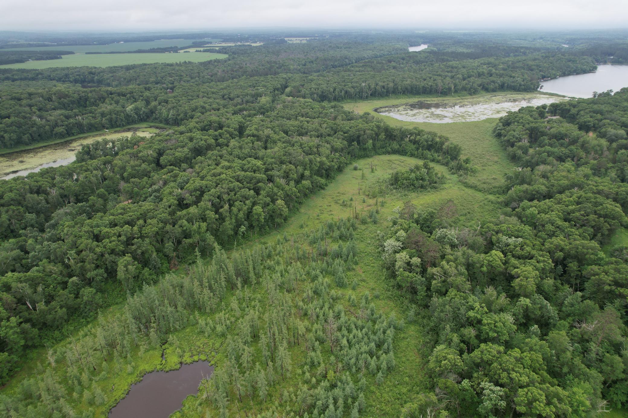 Tbd Hardy Lake Road Baxter, MN 56425 - Photo 29 of 30