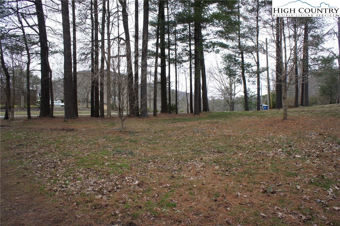 239 Cecil Miller Road Boone, NC 28607 - Photo 6 of 22 Gallery Image 6