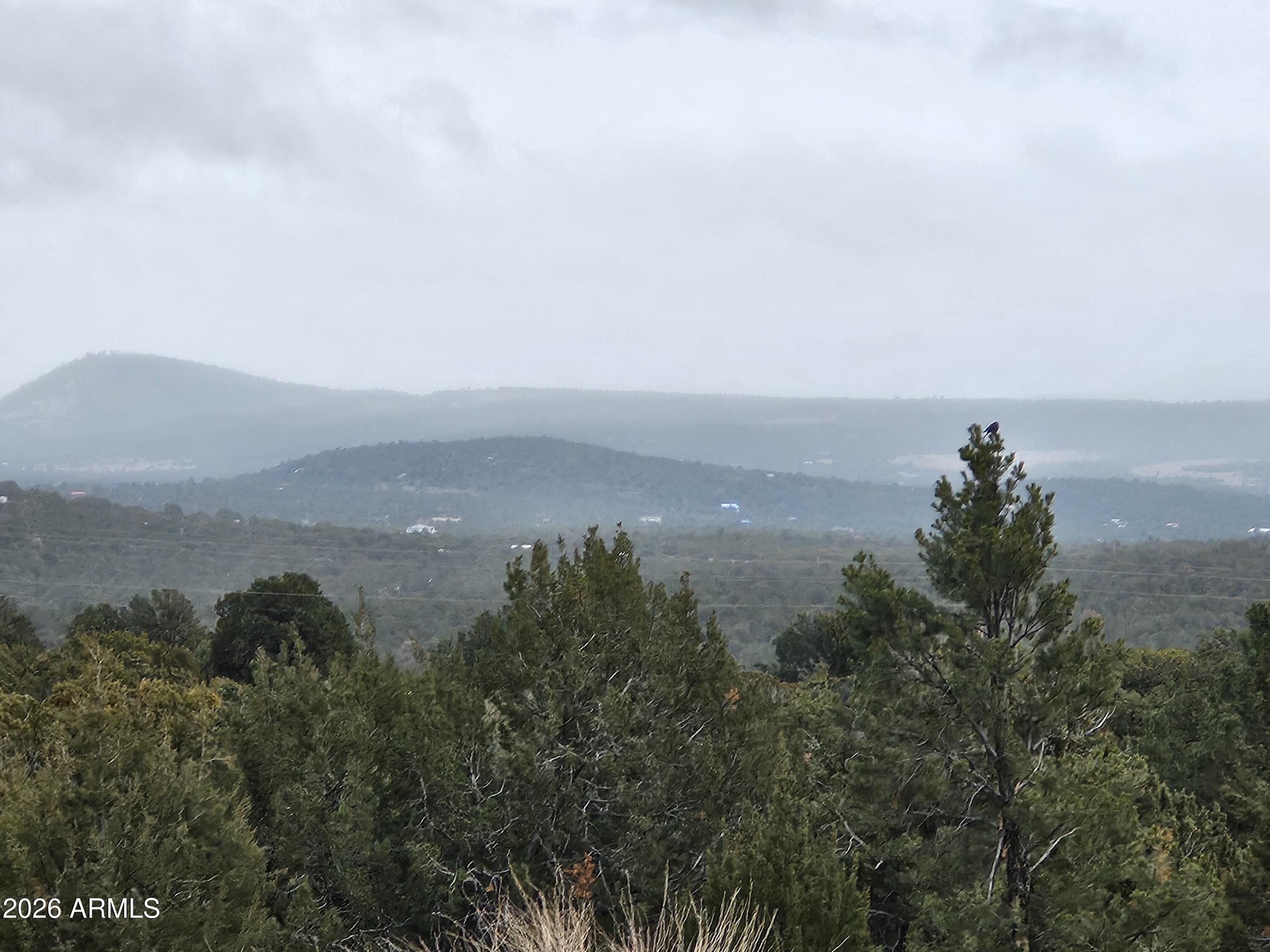 Lot 20 Mountain Pine Road Show Low, AZ 85901 - Photo 9 of 10