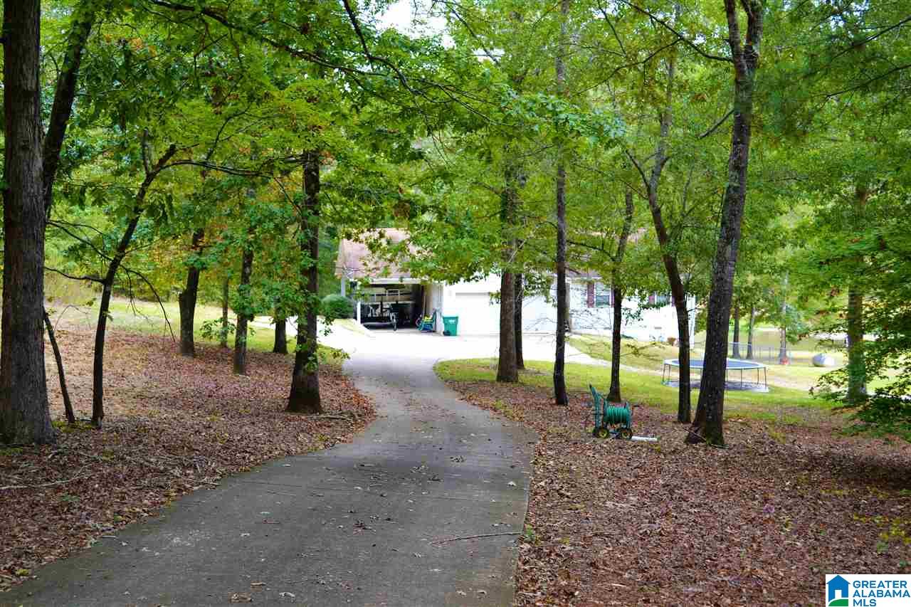 600 Davis Acres Drive Alpine, AL 35014 - Photo 2 of 47