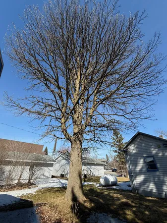 $125,000 | 173 Main Street, Blackduck, MN 56630