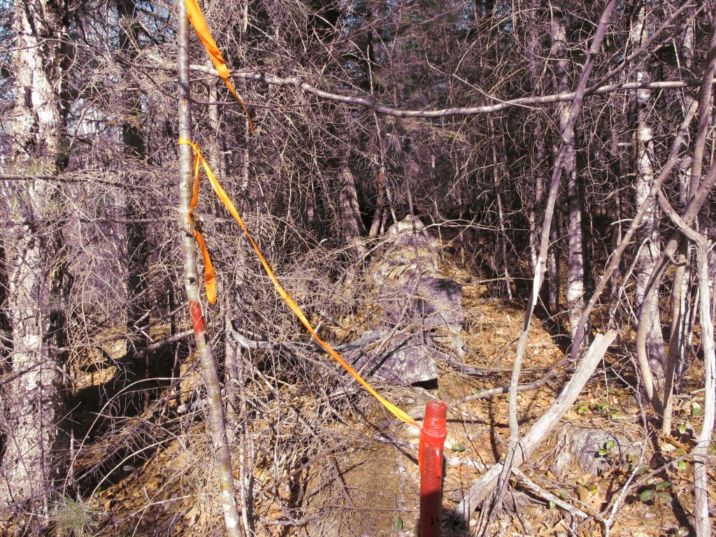 23 A Union Hill Road Stow, ME 04037 - Photo 2 of 12 Gallery Image 2