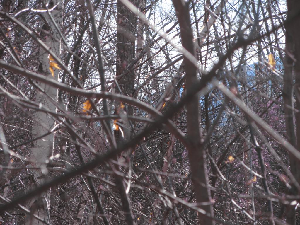 23 A Union Hill Road Stow, ME 04037 - Photo 11 of 12 Gallery Image 11