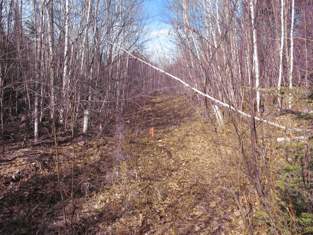 23 A Union Hill Road Stow, ME 04037 - Photo 3 of 12 Gallery Image 3