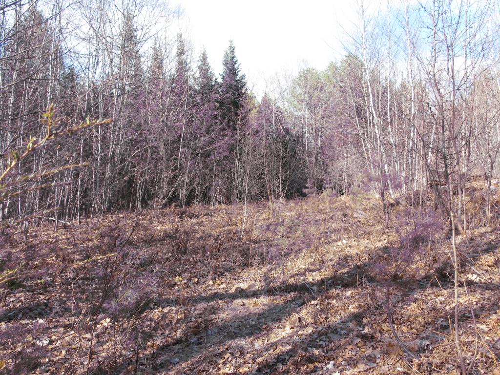 23 A Union Hill Road Stow, ME 04037 - Photo 4 of 12 Gallery Image 4