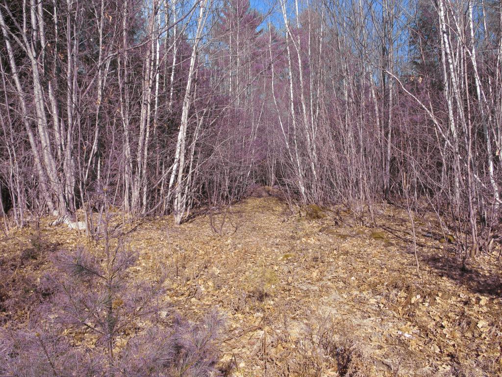 23 A Union Hill Road Stow, ME 04037 - Photo 5 of 12 Gallery Image 5