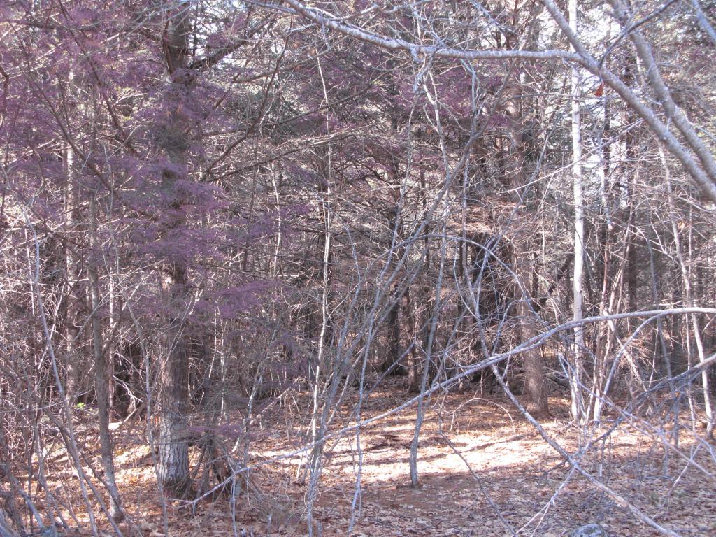 23 A Union Hill Road Stow, ME 04037 - Photo 6 of 12 Gallery Image 6