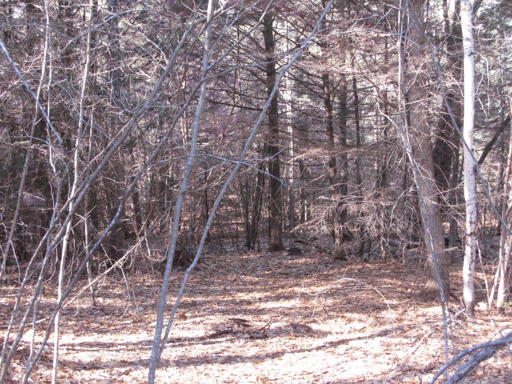 23 A Union Hill Road Stow, ME 04037 - Photo 7 of 12 Gallery Image 7