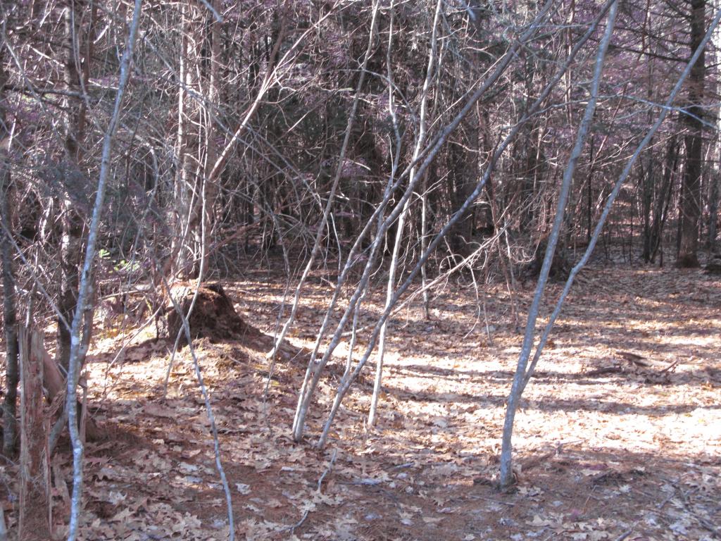 23 A Union Hill Road Stow, ME 04037 - Photo 8 of 12 Gallery Image 8