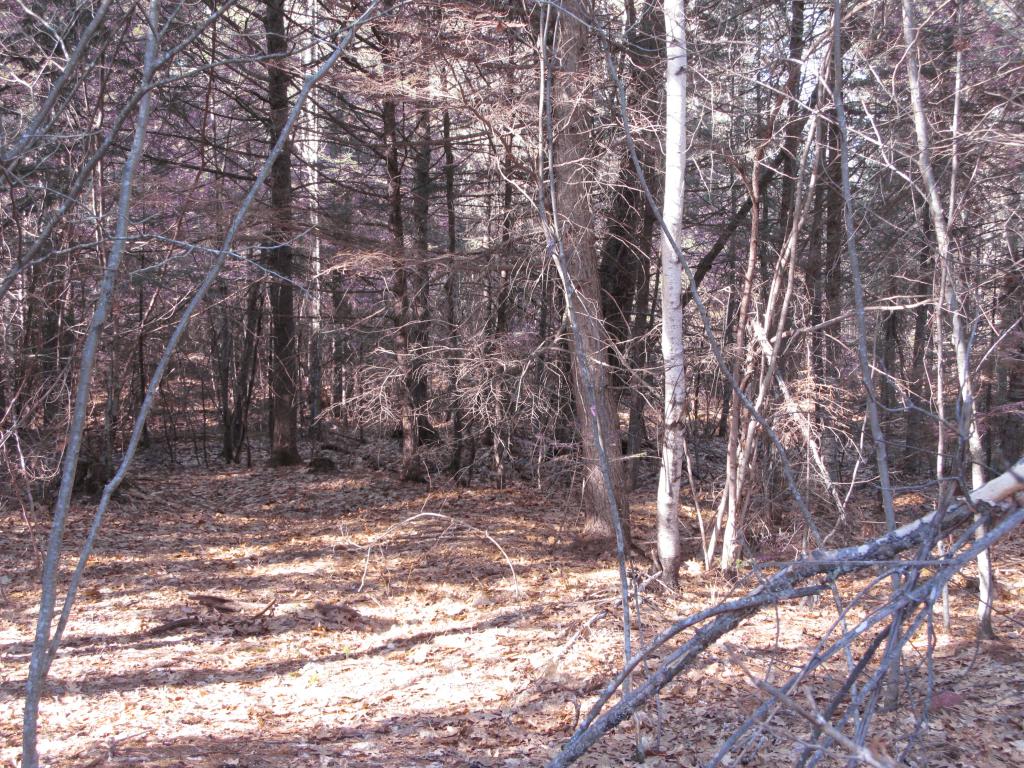 23 A Union Hill Road Stow, ME 04037 - Photo 9 of 12 Gallery Image 9