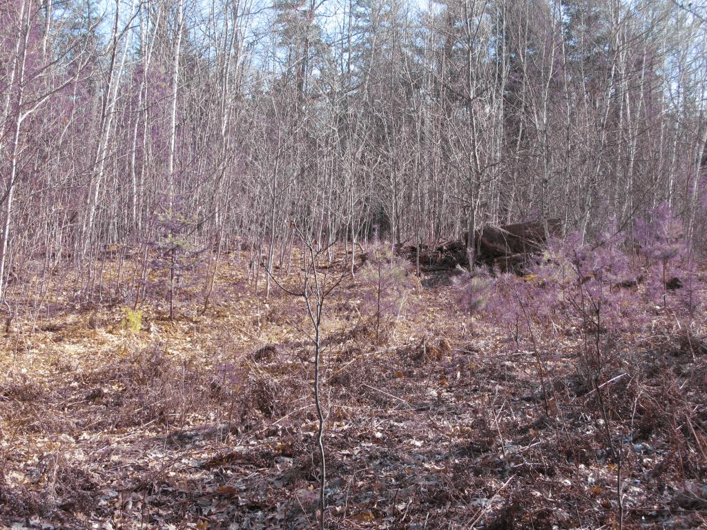 23 A Union Hill Road Stow, ME 04037 - Photo 10 of 12 Gallery Image 10