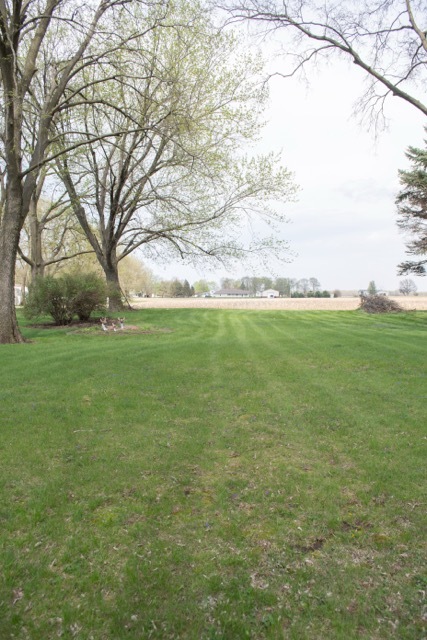 421 7th Avenue Erie, IL 61250 - Photo 3 of 27 a view of yard with outdoor space