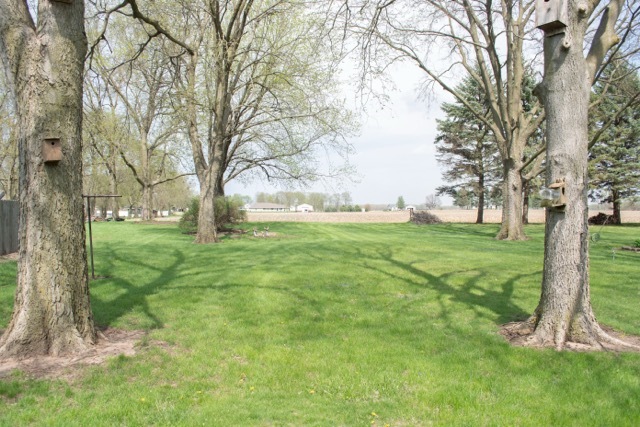 421 7th Avenue Erie, IL 61250 - Photo 6 of 27 a view of yard with large trees