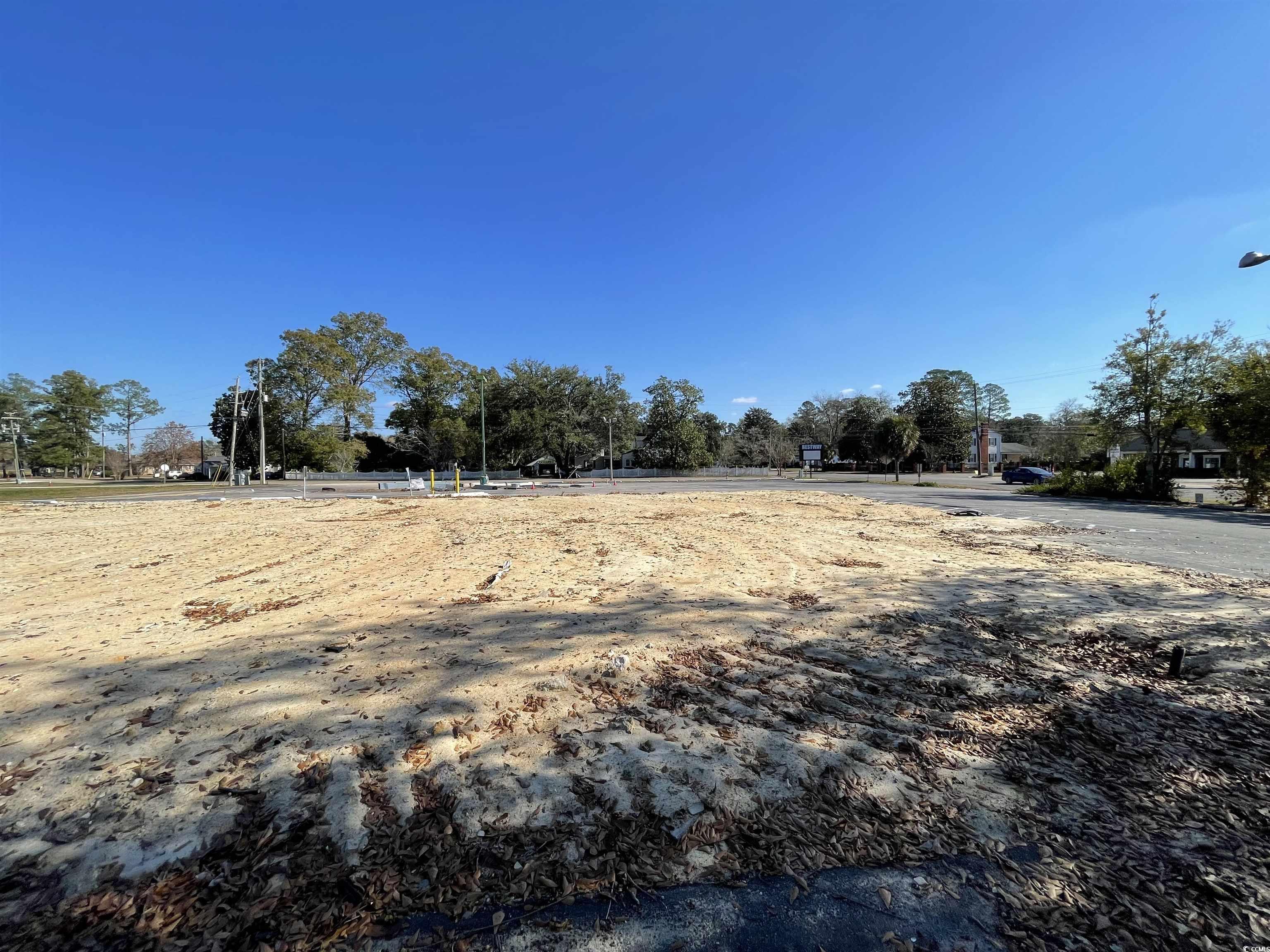 312 East Broad Street Hemingway, SC 29554 - Photo 22 of 25 View of yard