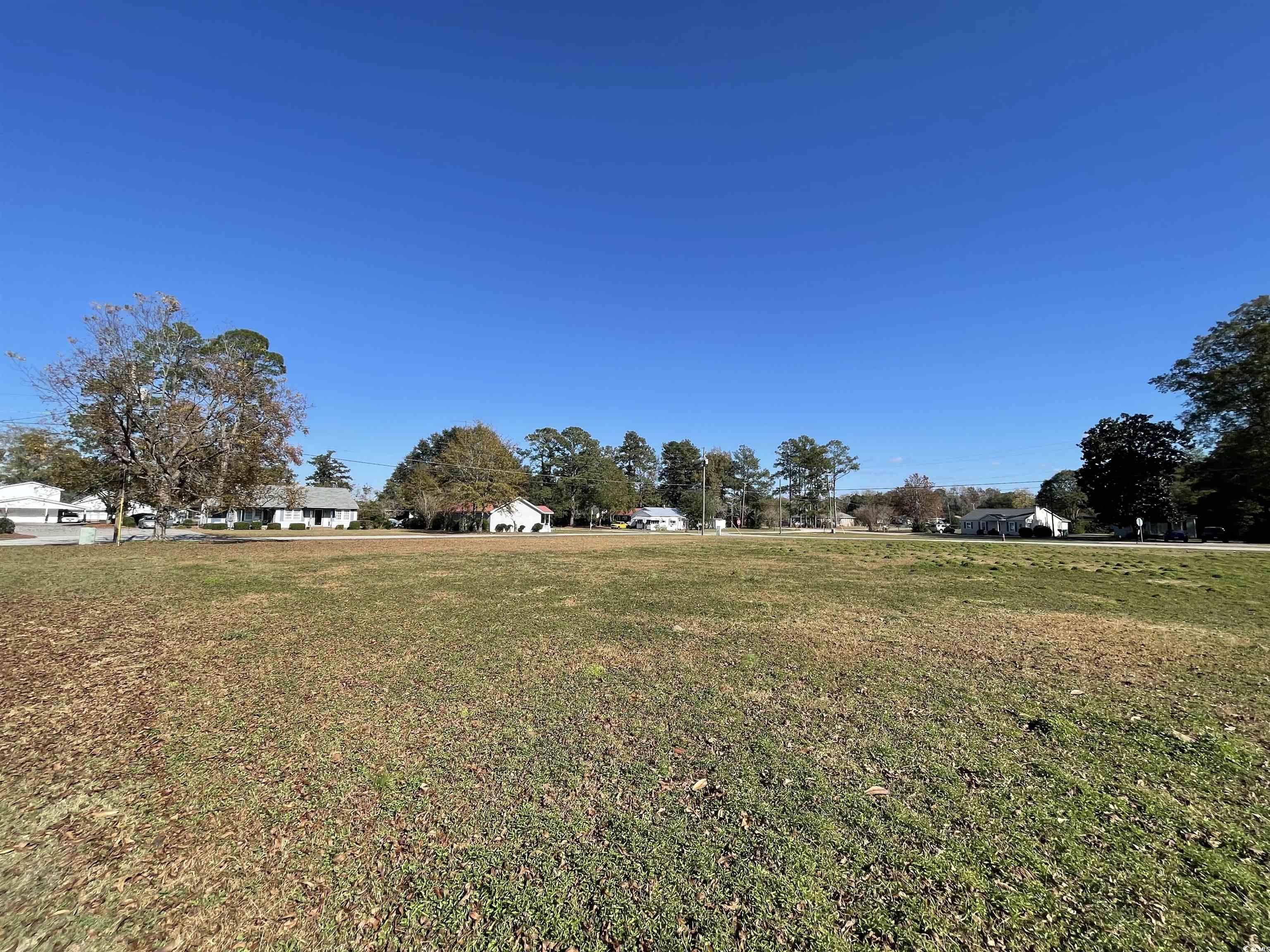 312 East Broad Street Hemingway, SC 29554 - Photo 23 of 25 View of grassy yard