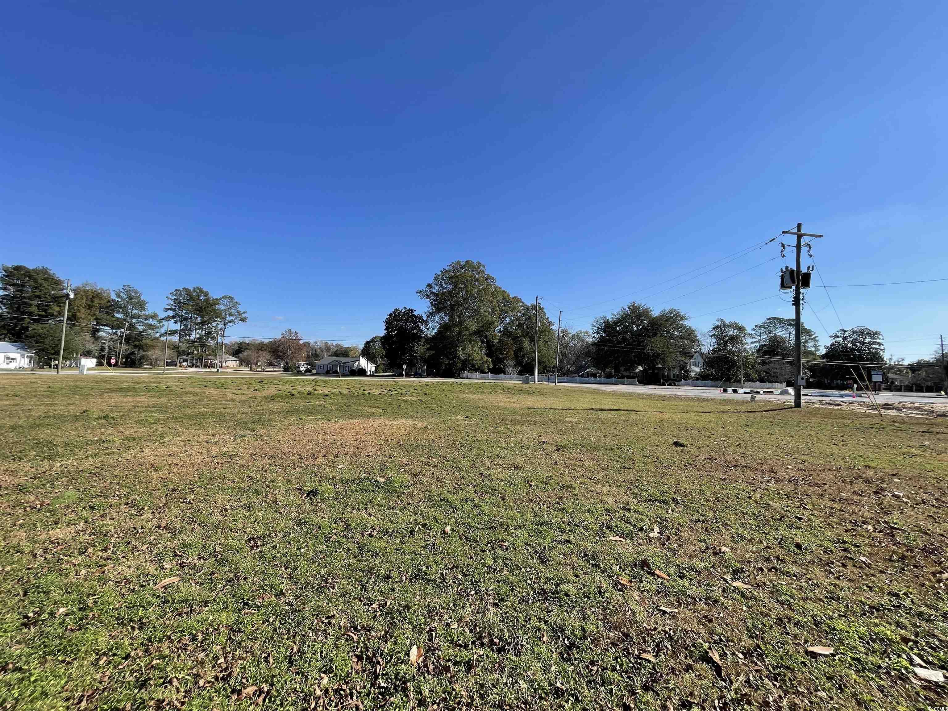 312 East Broad Street Hemingway, SC 29554 - Photo 24 of 25 View of grassy yard