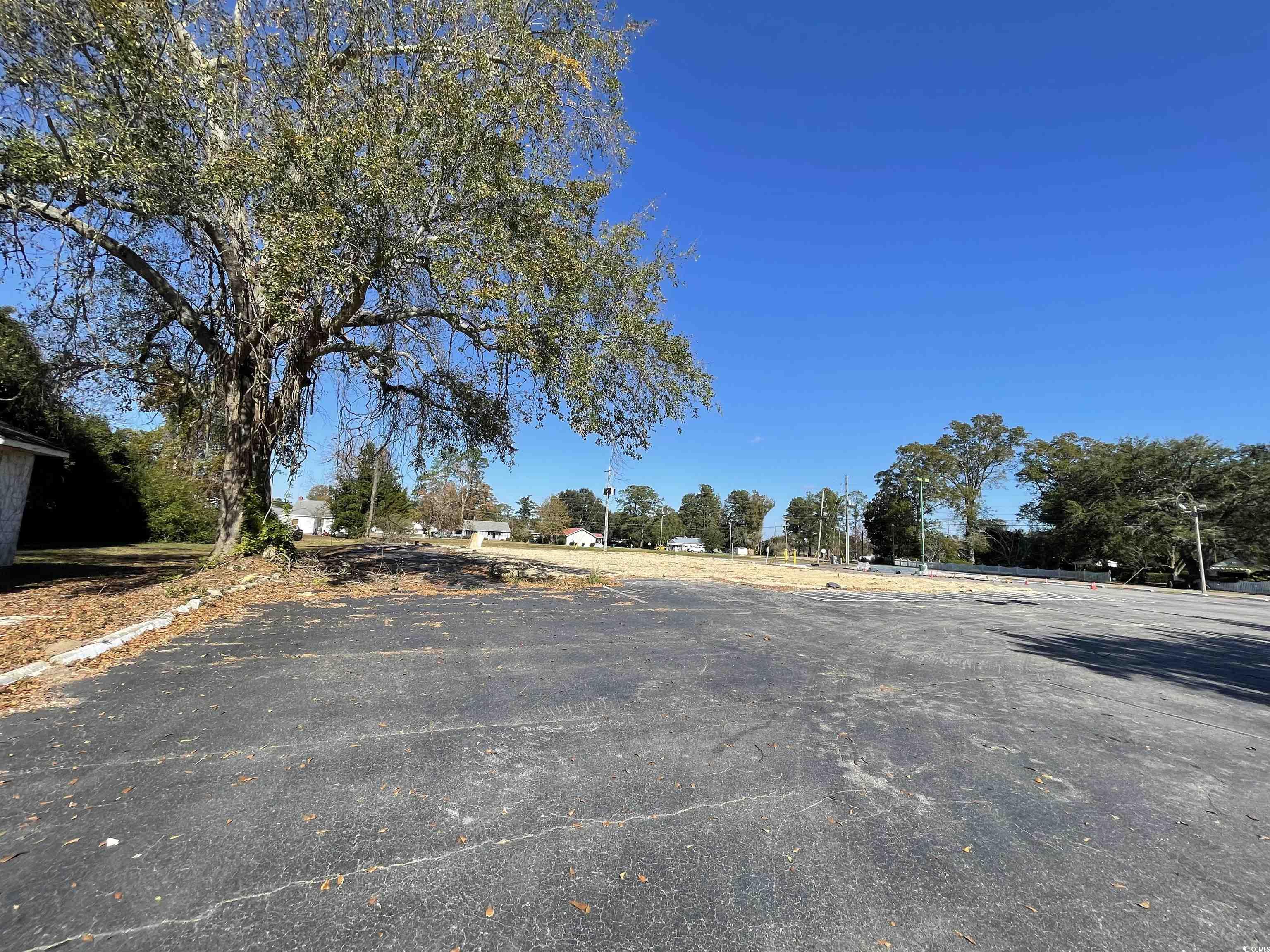 312 East Broad Street Hemingway, SC 29554 - Photo 3 of 25 View of road