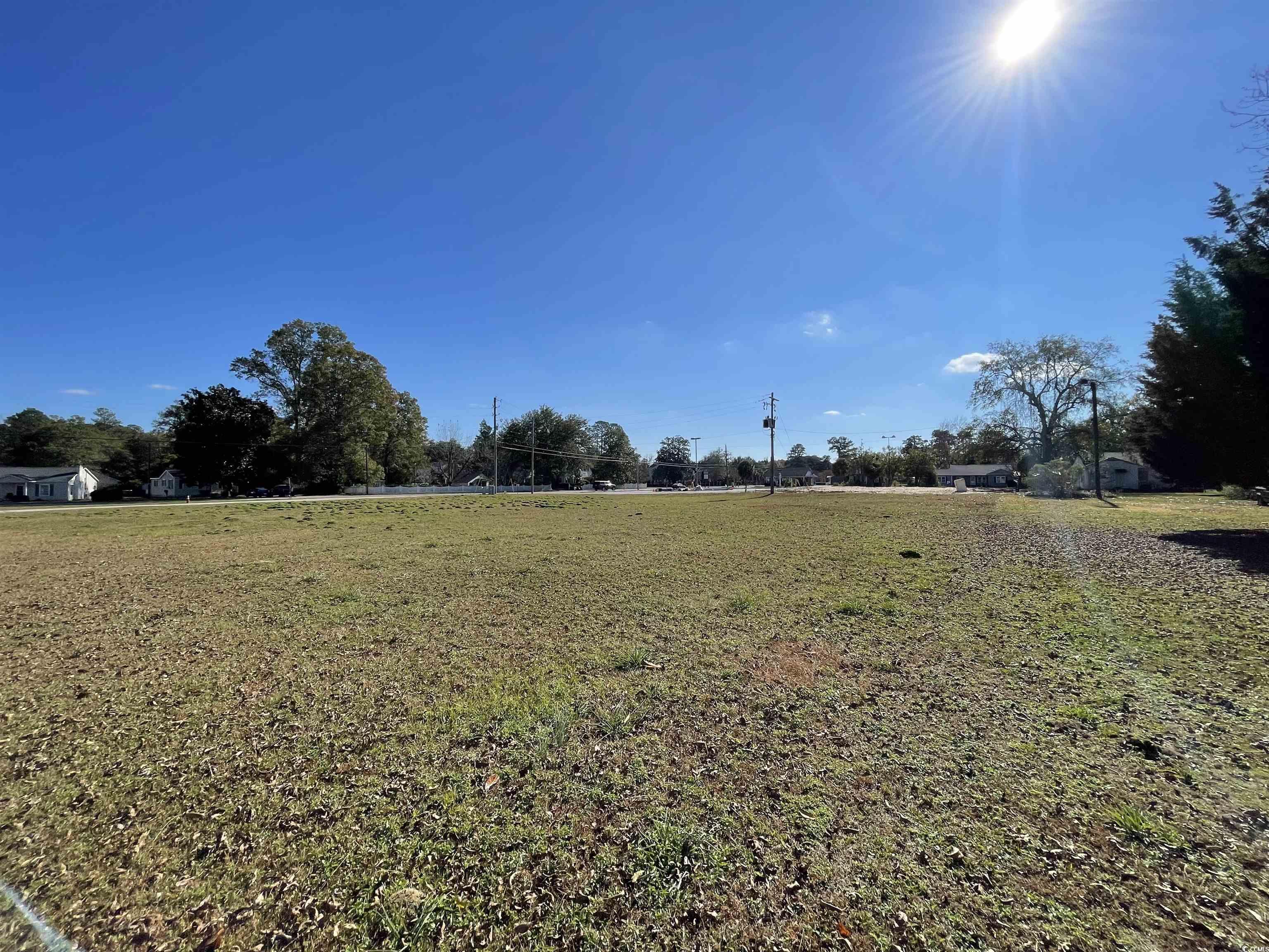312 East Broad Street Hemingway, SC 29554 - Photo 5 of 25 View of grassy yard