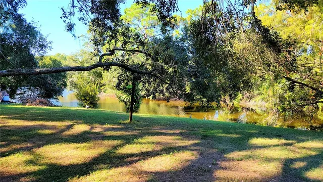 a view of backyard with green space