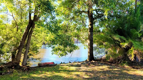 a view of outdoor space and trees