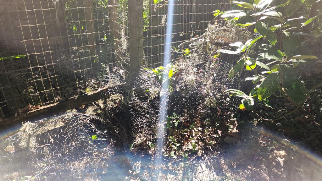 6321 Runnel Drive New Port Richey, FL 34653 - Photo 17 of 18 a close up of a plant