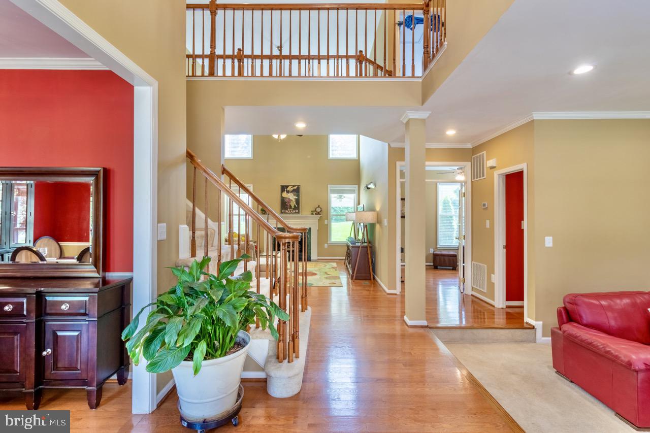 8901 Mountain Ash Drive Springfield, VA 22153 - Photo 26 of 49 Entrance Foyer