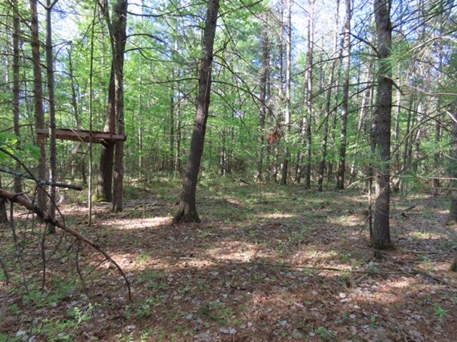 10595 River Road Atlanta, MI 49709 - Photo 30 of 38 Gallery Image 30