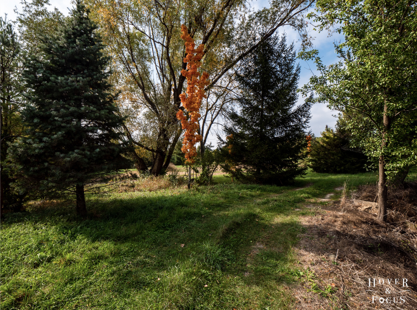 3004 Stieg Road Woodstock, IL 60098 - Photo 33 of 35 a view of backyard with green space