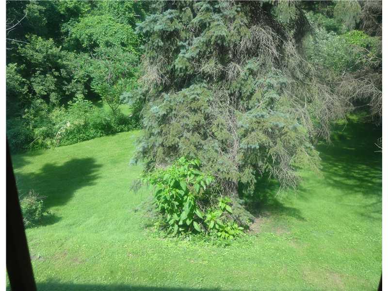 109 Ridge Road Monongahela, PA 15063 - Photo 5 of 12 View. View from the bay window in the living room!