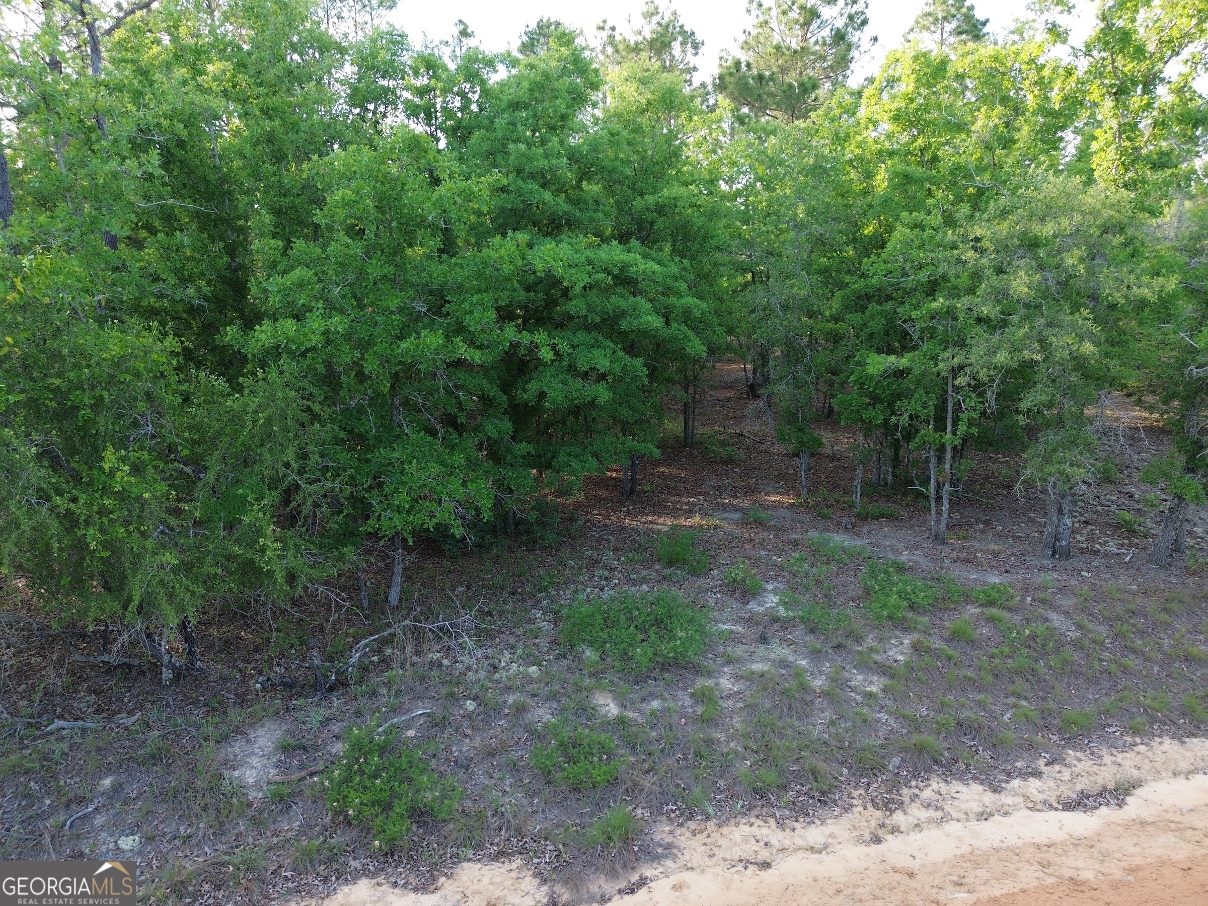 3570 William Dennis Road McRae-Helena, GA 31037 - Photo 15 of 23