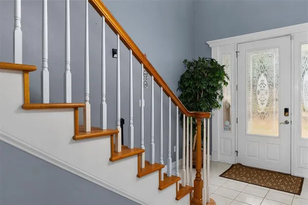 a view of staircase with lots of frames on wall and a potted plant