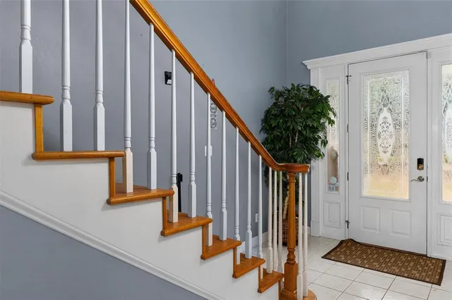 a view of staircase with lots of frames on wall and a potted plant
